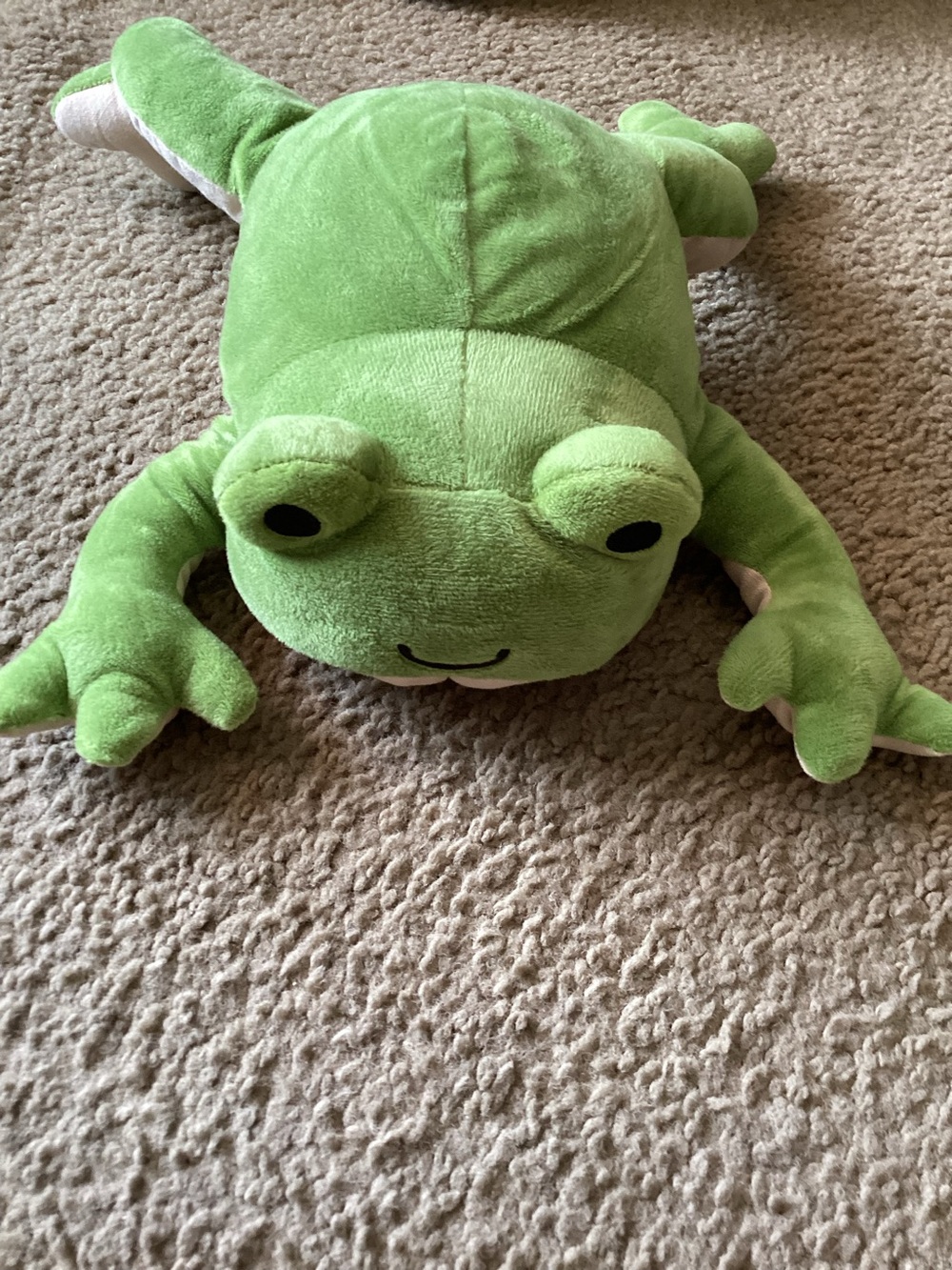 KiwiCo Froggie Dissection Lab